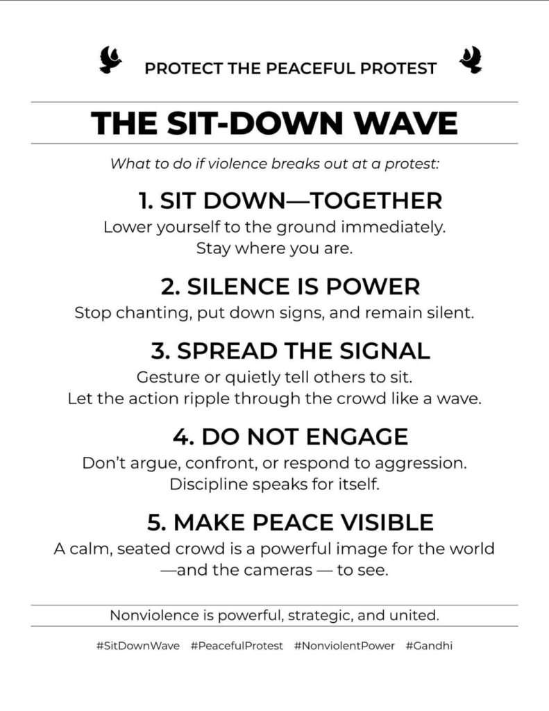 non violent prrotest guidelines